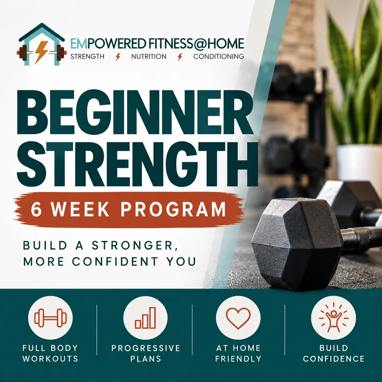 Preview of the planned Beginner Strength program, coming soon