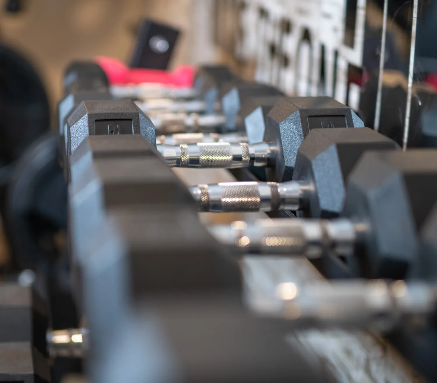 Dumbbells in the studio